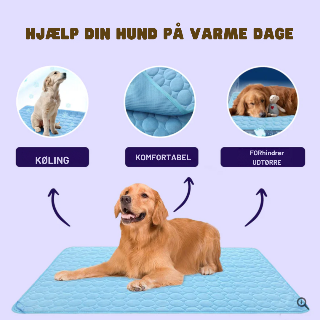 Kølemåtte til hunde til indendørs brug