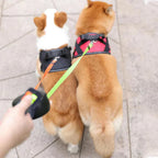Dobbelt hundesnor til to hunde