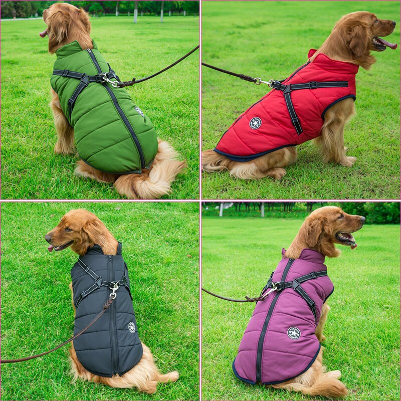 Hundejakke – vandtæt vinterjakke med justerbar pasform, unisex