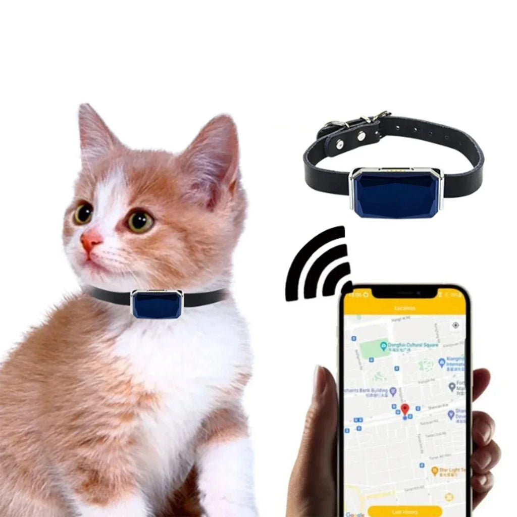 TrackMate GPS-tracker til katte med live-sporing