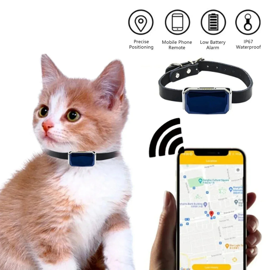TrackMate GPS-tracker til katte med live-sporing