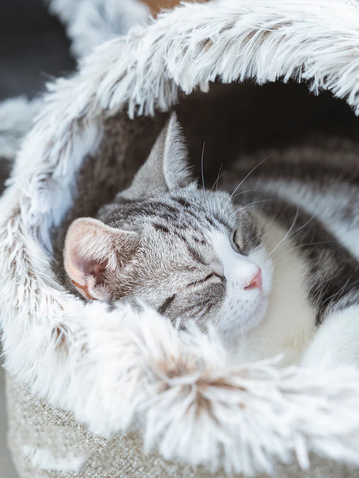 Catfri – CozyCat Kattehule | Varm og Komfortabel Rede