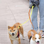 Dobbelt hundesnor til to hunde