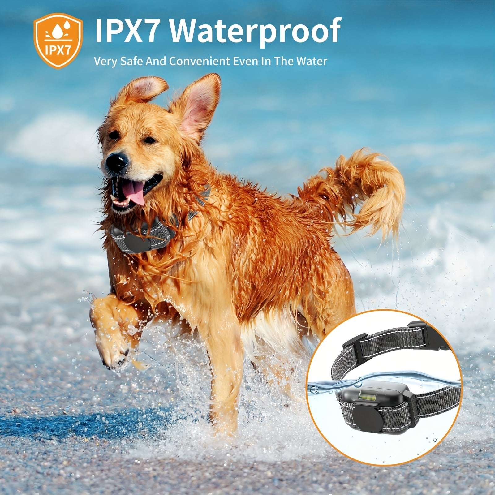 Vibrationshalsbånd til hund med USB opladning