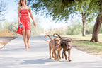 Dobbelt hundesnor med 360 grader