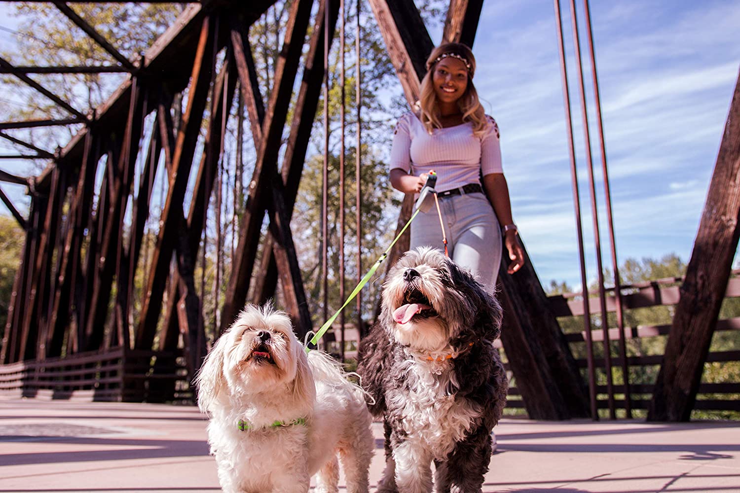 Dobbelt hundesnor med 360 grader